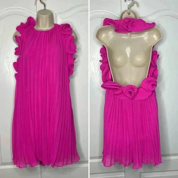 NWT - AMUR Lady’s Mimi Dress in Pink Hydrangeas Size 2 - Picture 6 of 14